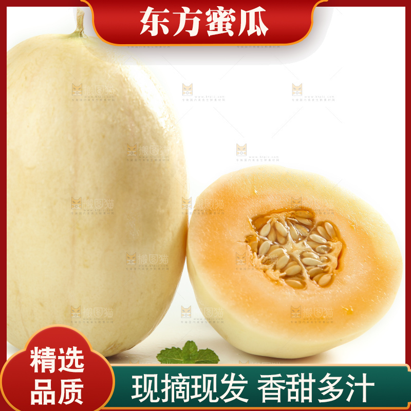 白底上摆放着台州东方蜜一号甜瓜