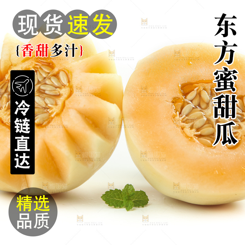 白底上摆放着台州东方蜜一号甜瓜