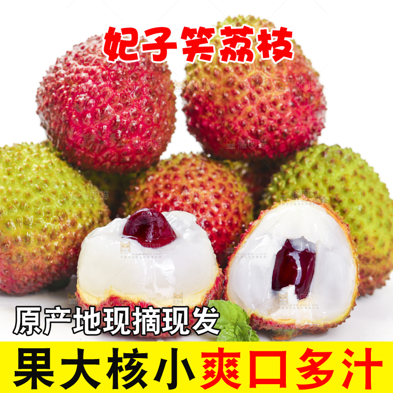 白底上摆放着高州妃子荔枝