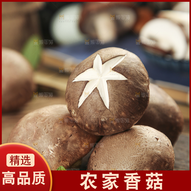木底上摆放着新鲜香菇