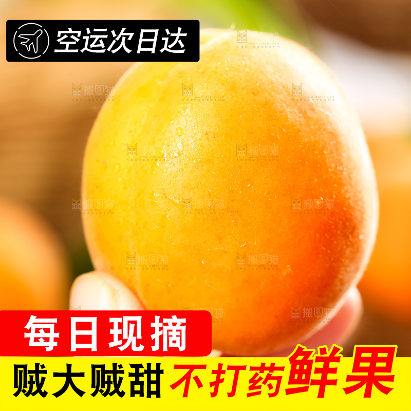 手里拿着杏子