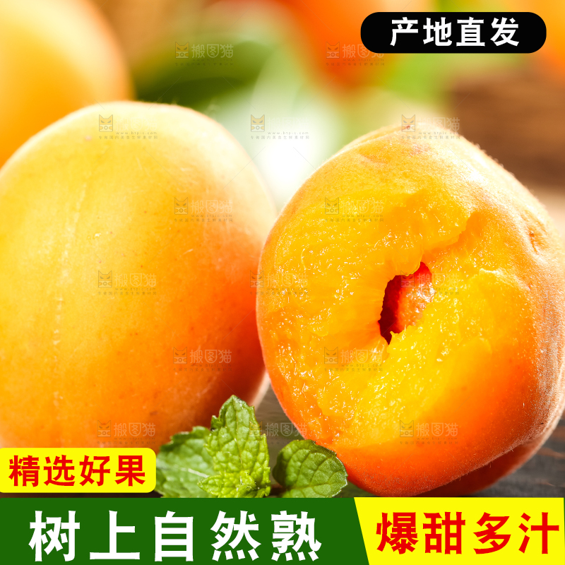 黑底上放着黄杏