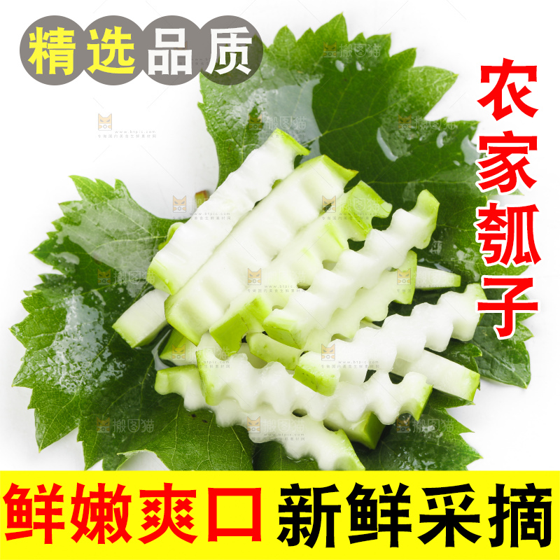 绿叶上放着切丝的瓠瓜