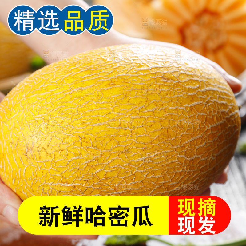 手里拿着黄皮哈密瓜