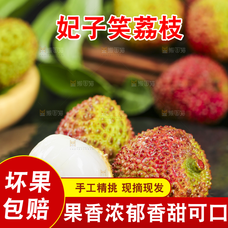 黑底上放着福建妃子笑