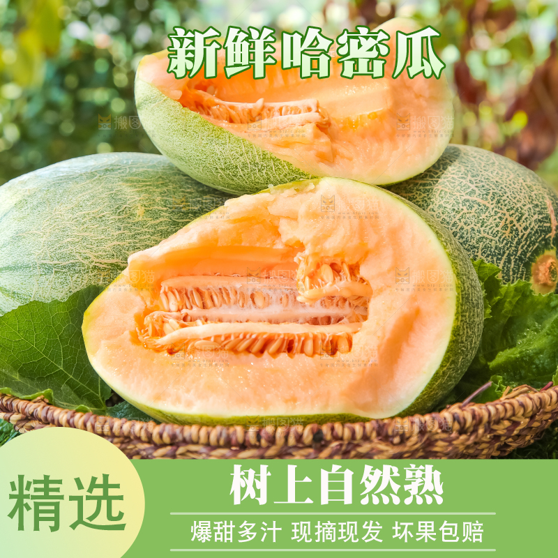 哈密瓜主图