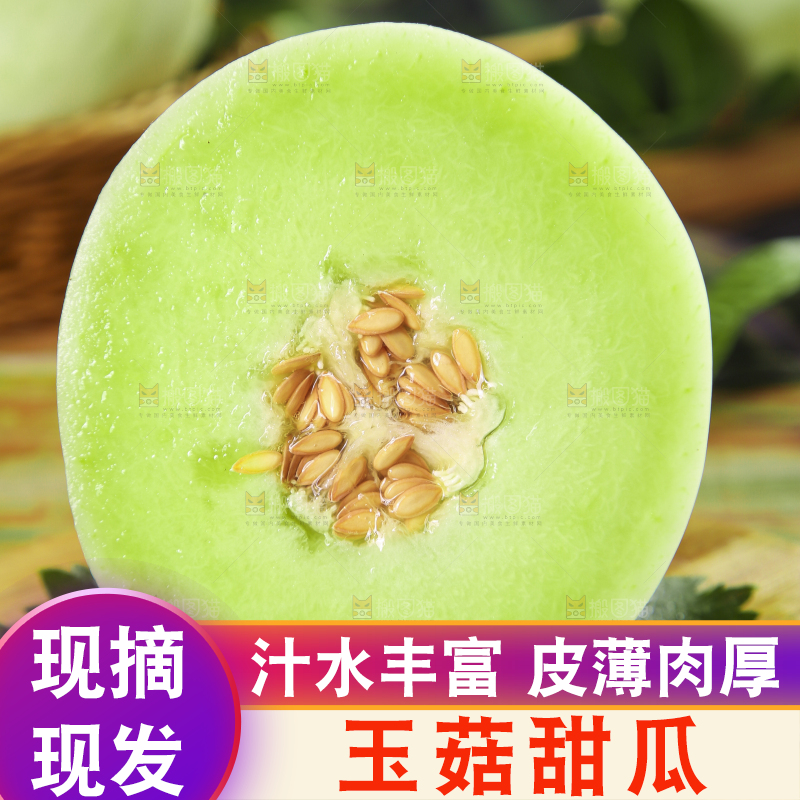 木底上摆放着南汇玉菇甜瓜