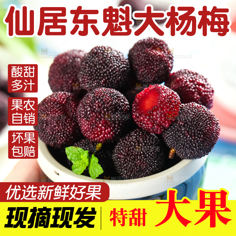 手里拿着杨梅