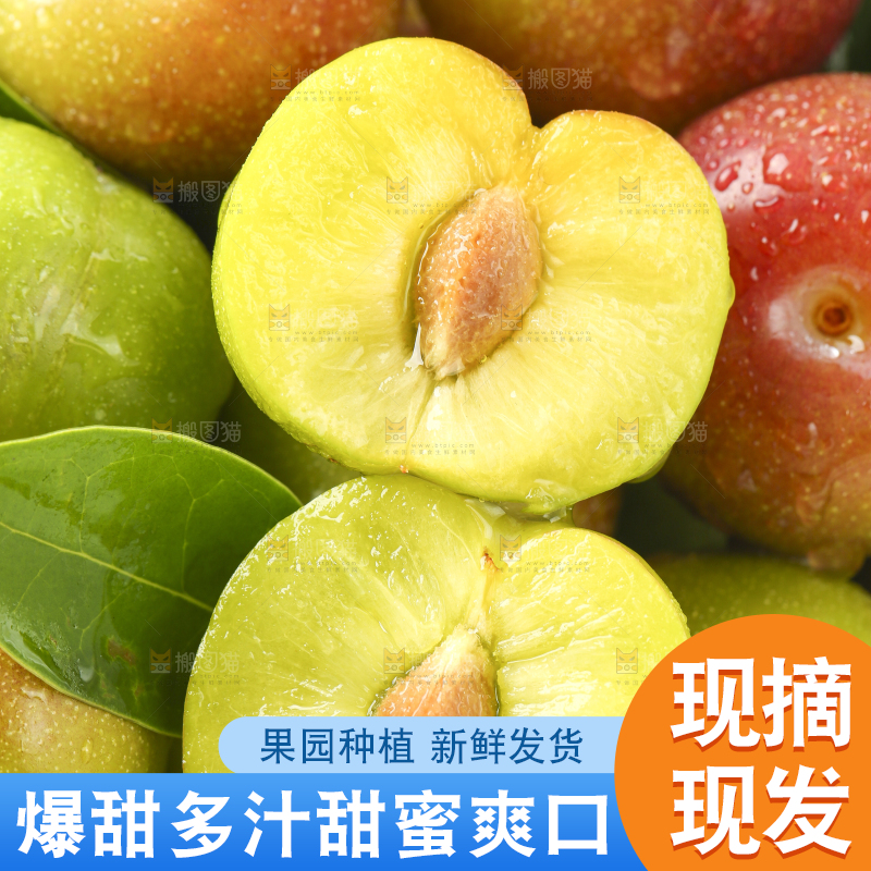 篮子里装着茵红脱骨李