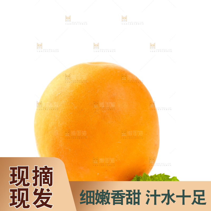 白底上放着陕西新鲜大黄杏