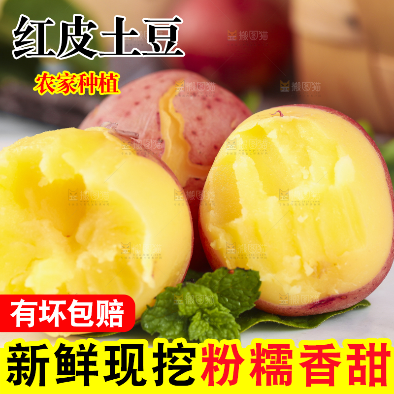 白底上摆放着新鲜土豆