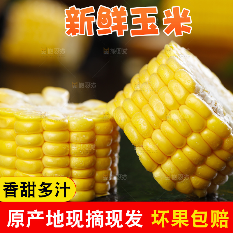 黑石板上的东北玉米