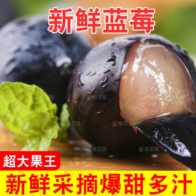 木板上摆放着新鲜蓝莓