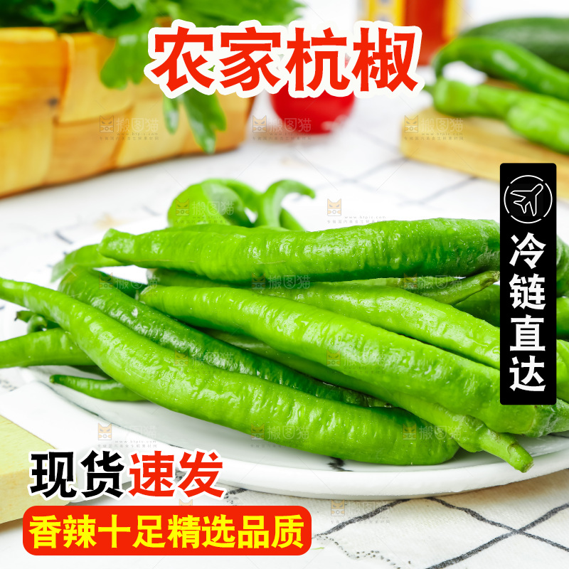 格子底上摆放着杭椒