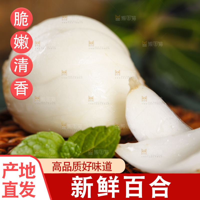 深底上摆放着兰州鲜百合