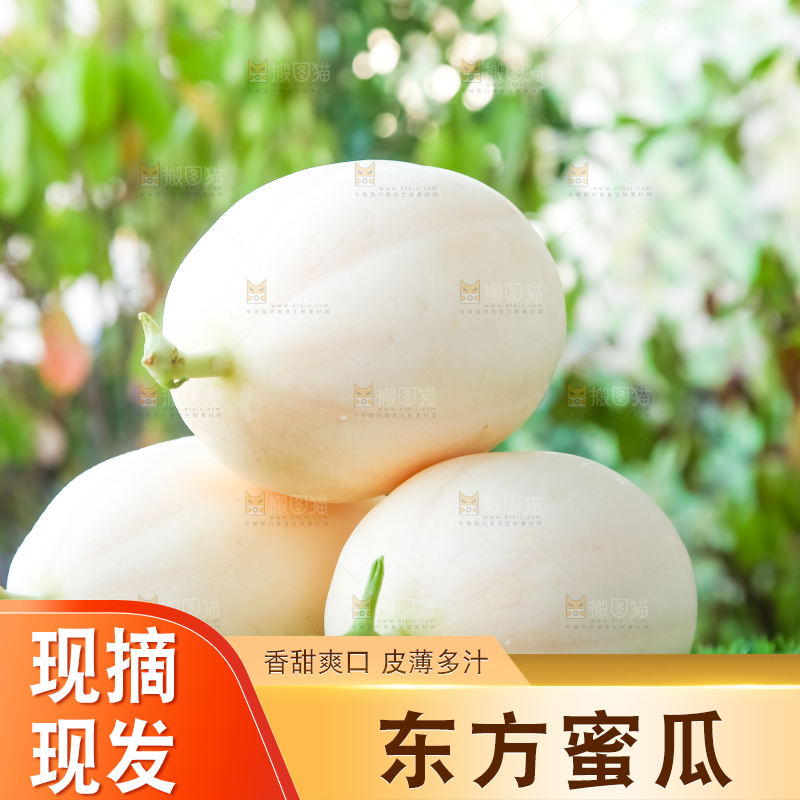 草地上放着东方蜜瓜