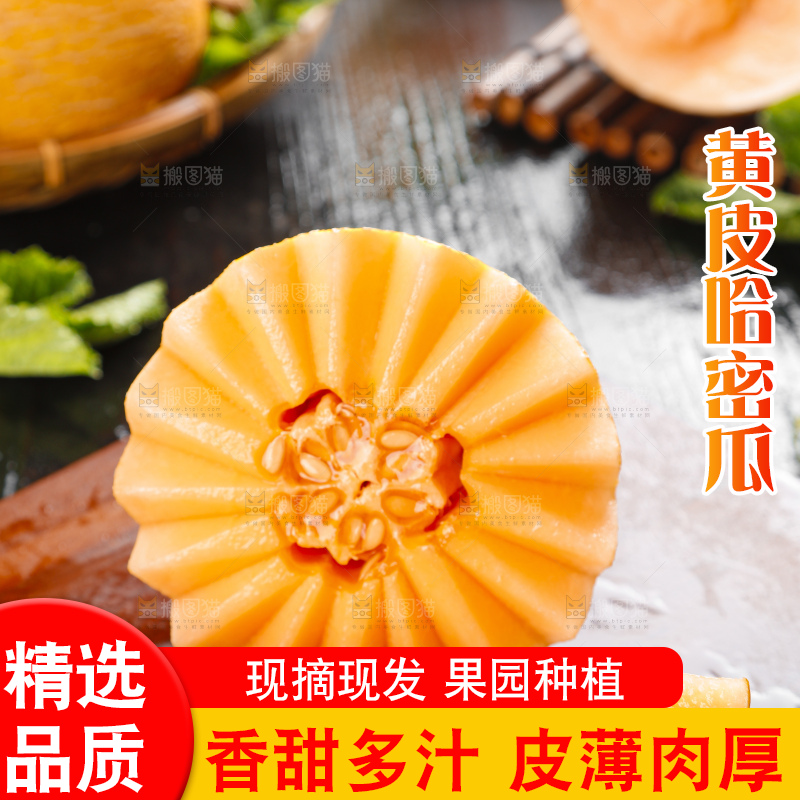 木底上摆放着黄皮哈密瓜