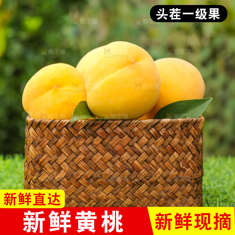 草地上放着一篮子新鲜黄桃