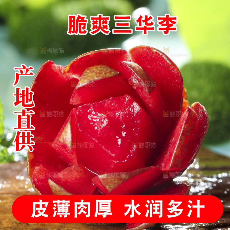 红肉三华李主图