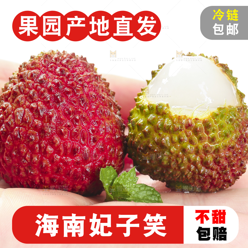 手里拿着新鲜妃子笑荔枝