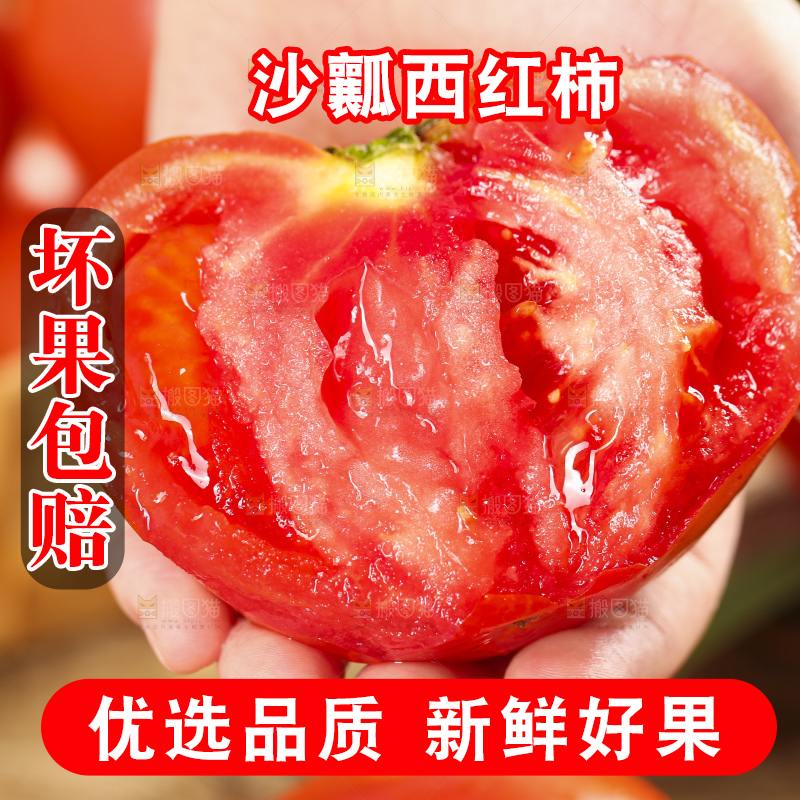 手里拿着米易沙瓤西红柿