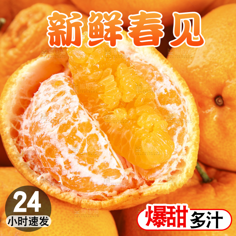白底上放着一堆春见耙耙柑