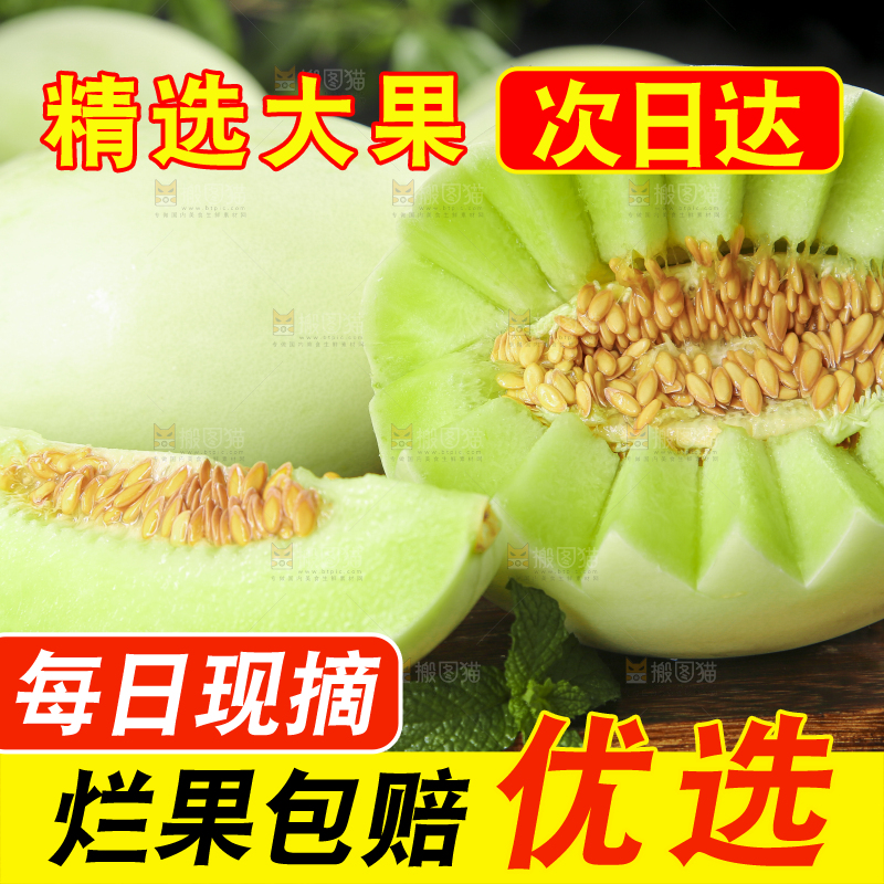 深底上摆放着山东玉菇甜瓜