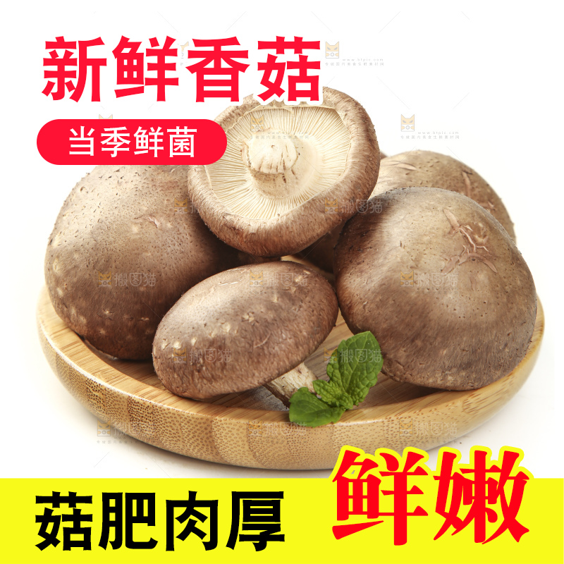 盘子里装着新鲜香菇