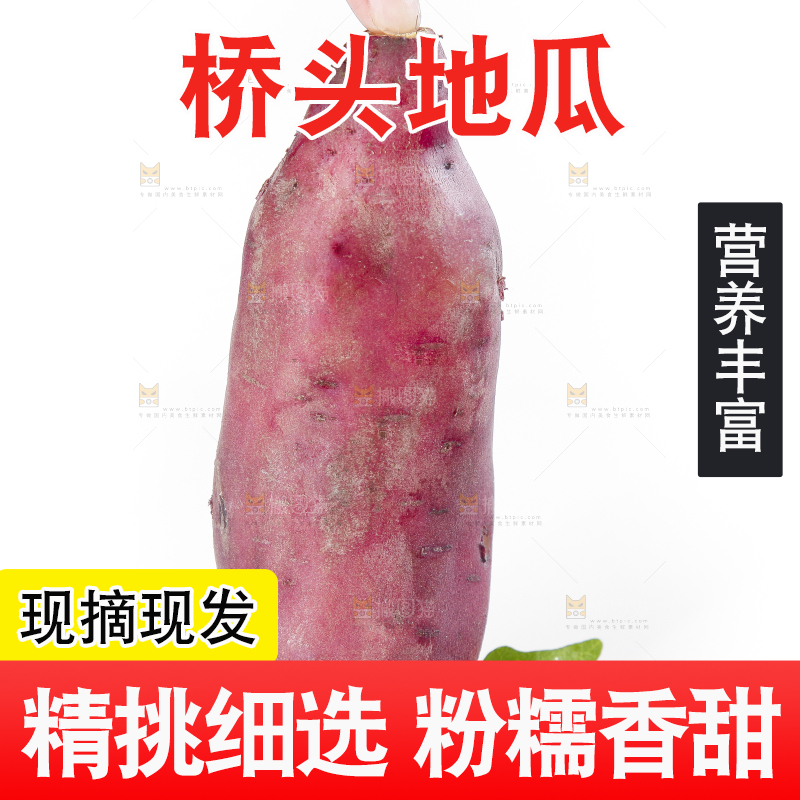 手里拿着黄心红薯
