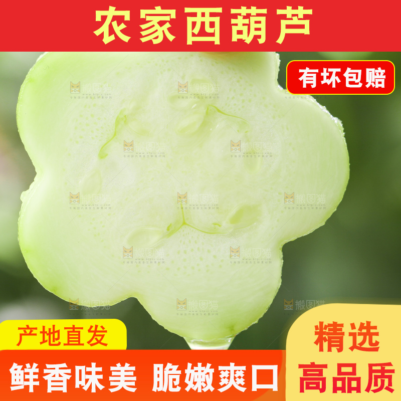 手里拿着嫩茭瓜