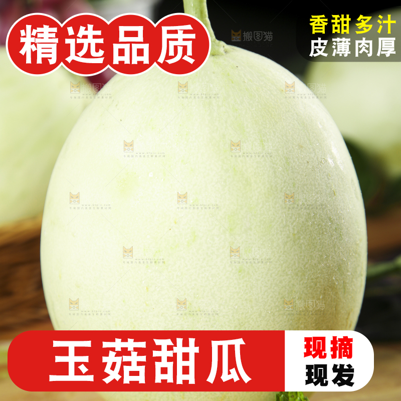 木底上摆放着南汇玉菇甜瓜