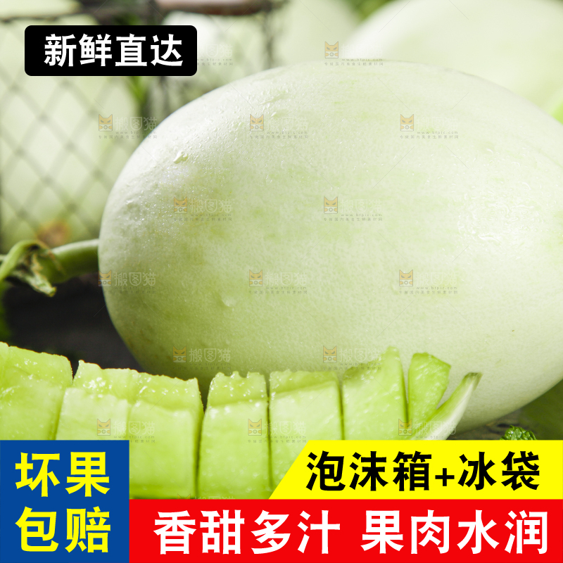 黑底上摆放着山东玉菇甜瓜