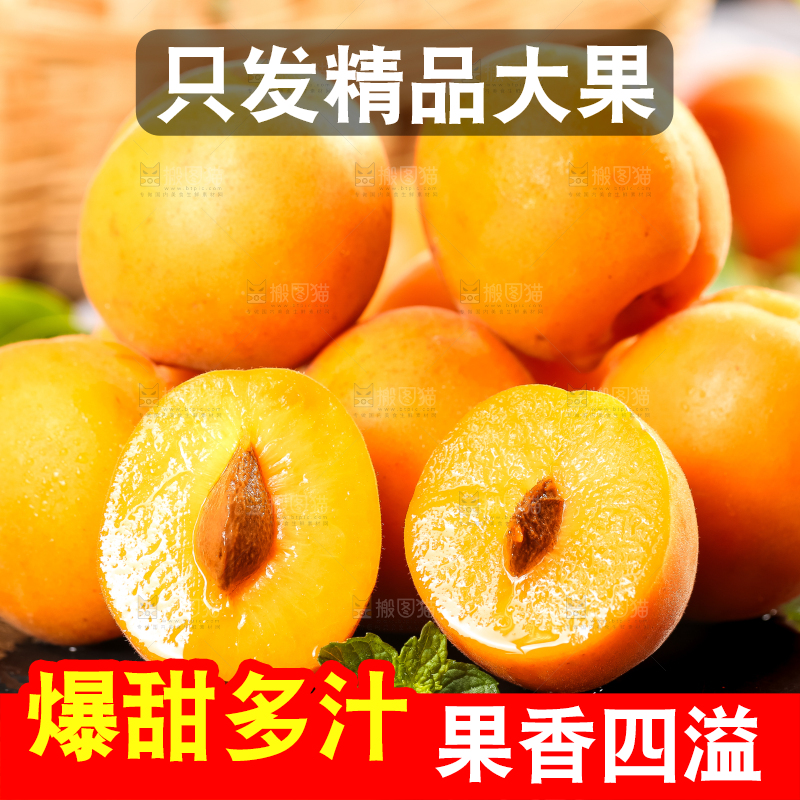 黑底上放着大黄杏
