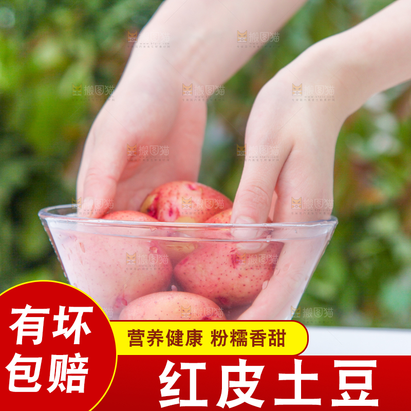盆子里装着正在清洗的土豆