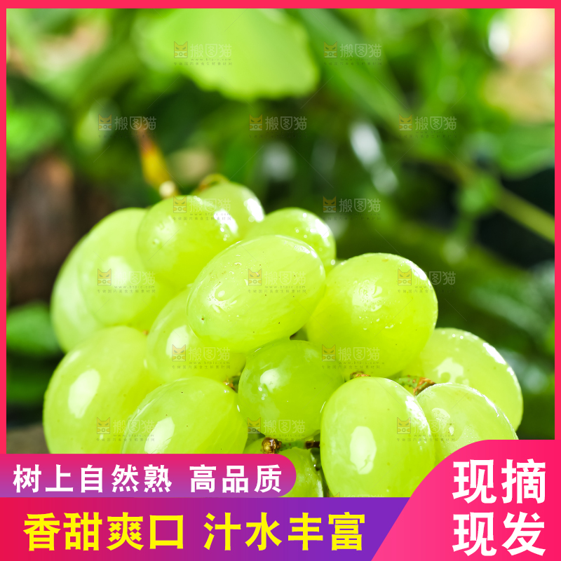 石板上放着澳洲无籽青提