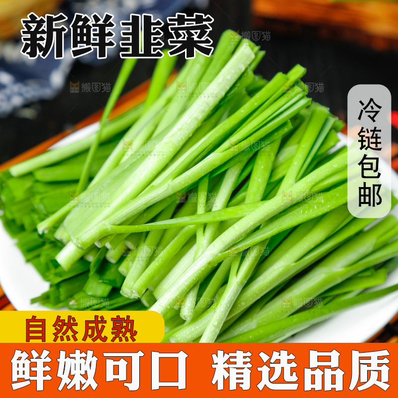 盘子里装着嫩韭菜