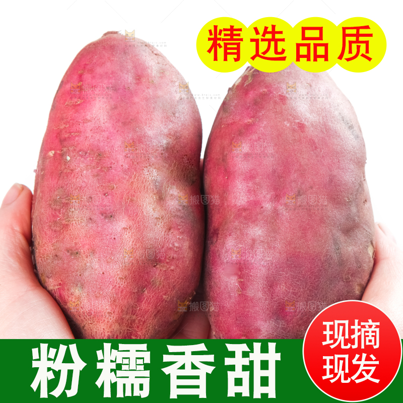 手里拿着桥头地瓜