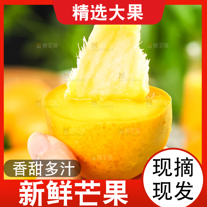 手里拿着台农芒