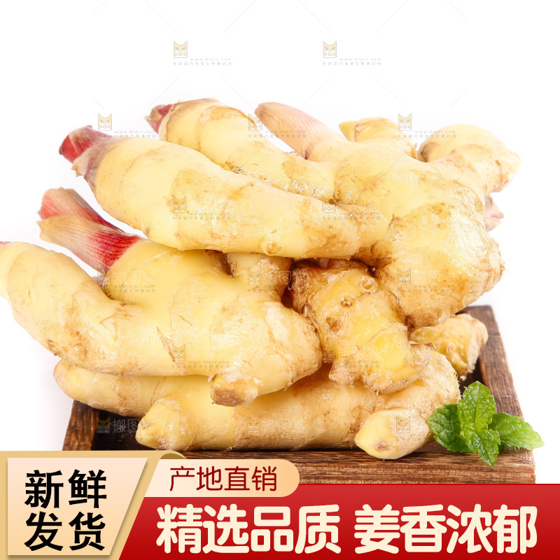 白底上的红芽姜