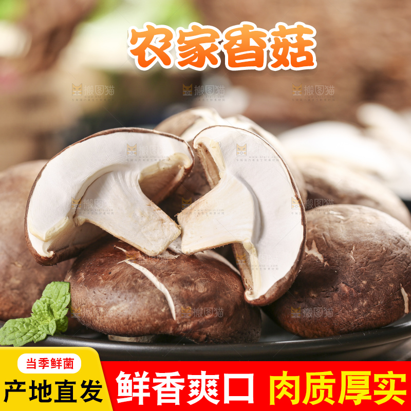 碟子里装着新鲜香菇