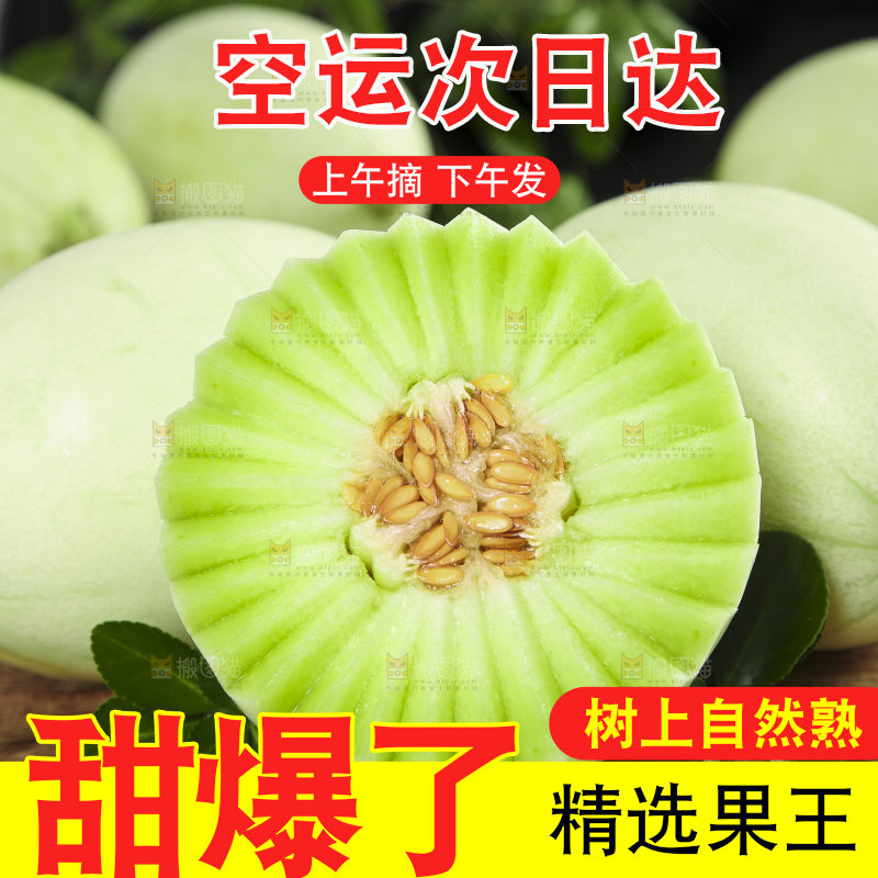 玉菇甜瓜主图