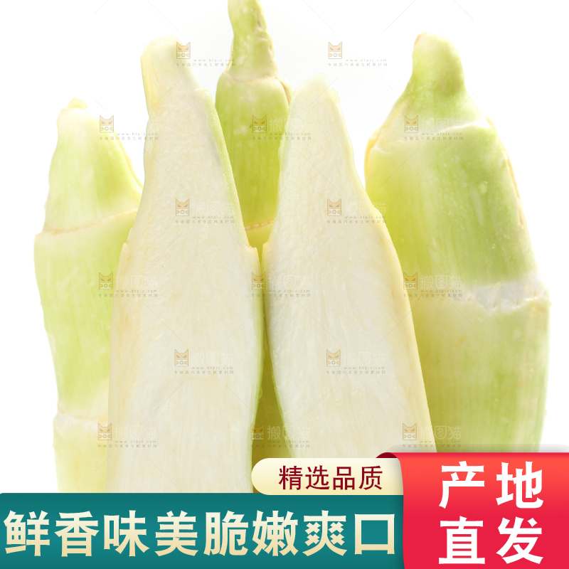 白底上的茭白
