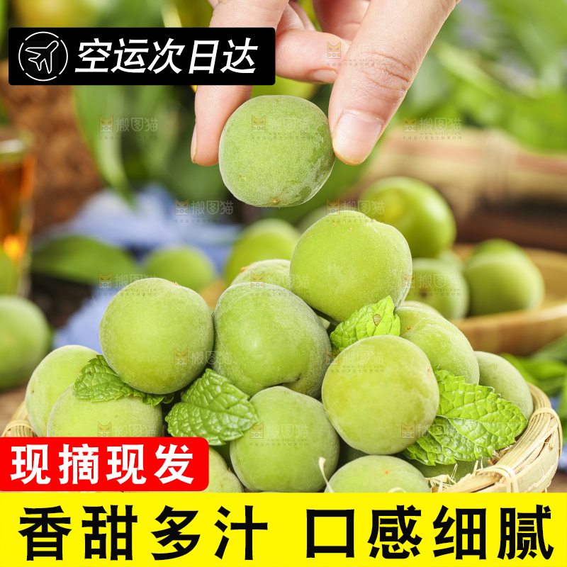 篮子里装着沂蒙山青杏