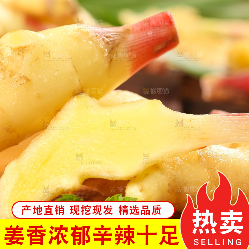 木板上的山东红芽生姜