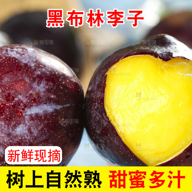 手里拿着陕西黑布林
