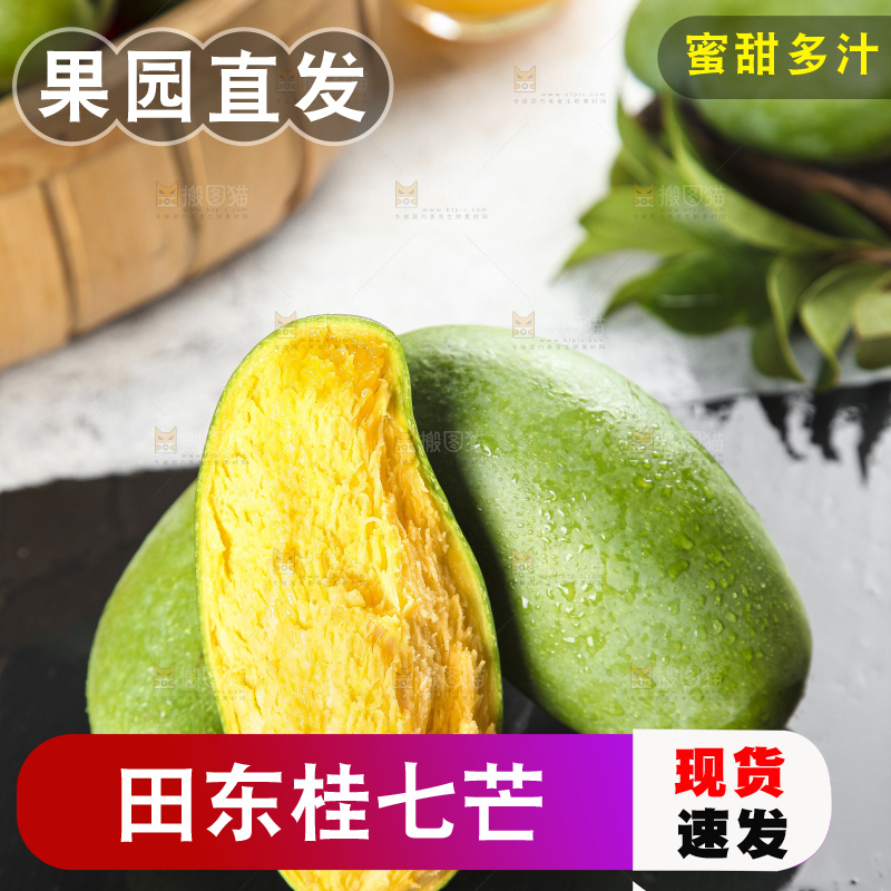 石板上的青皮桂七芒