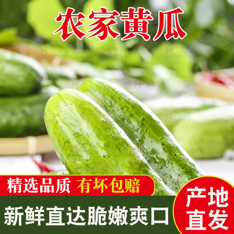 木底上放着农家黄瓜