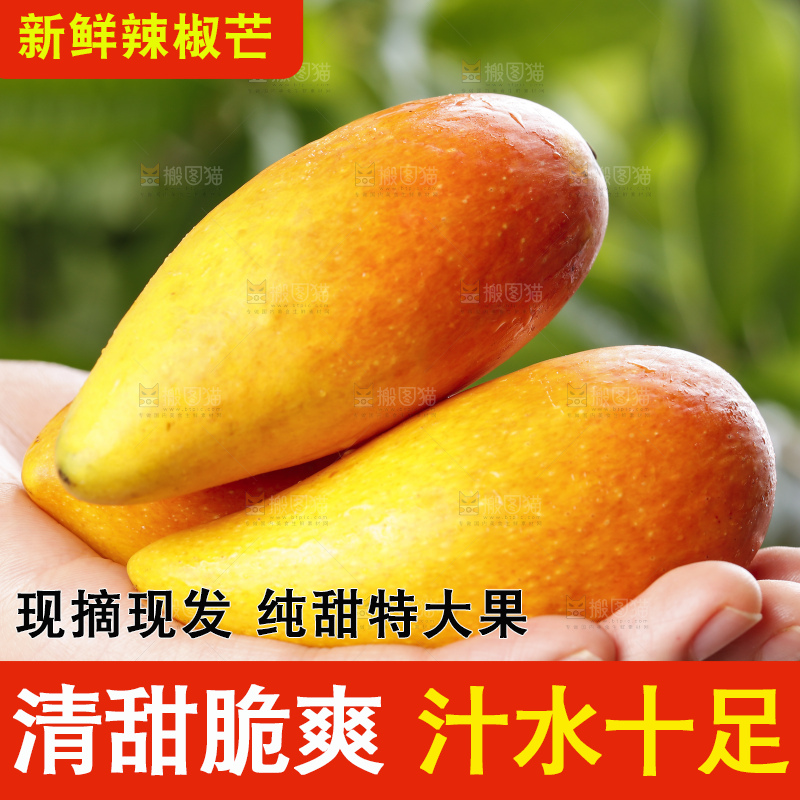 手里拿着新鲜芒果