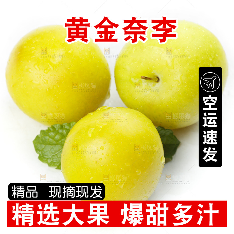 白底上的九峰山黄金奈李