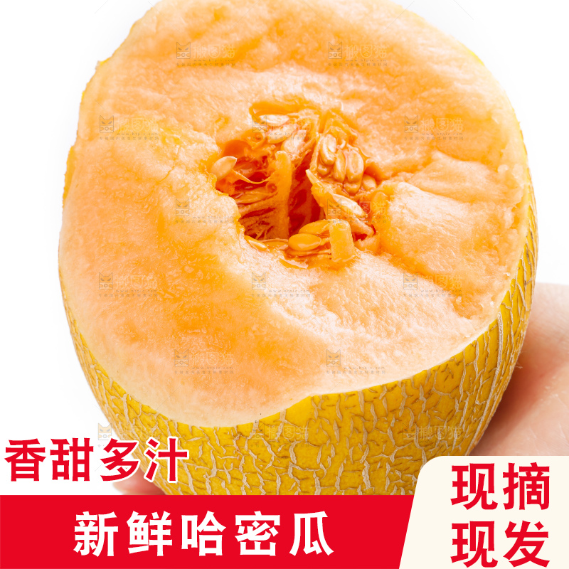 手里拿着新疆黄皮哈密瓜